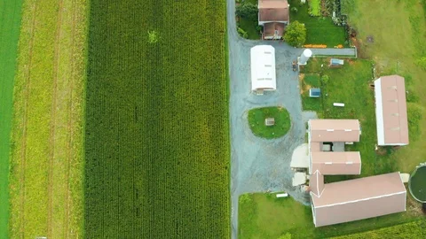 Aerial Top Down View of Rural Farm House in PA with Barn, Silos, Corn Fields Stock Footage 116012035