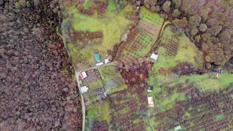 Aerial Top-Down View of Rural Village and Farmland. A high-angle drone shot.. Video stock 332004610