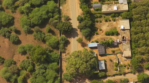 Aerial Top Down View Of Rural Road In India With Lush Greenery Vidéo 334210515
