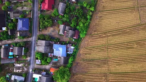 Aerial top down view of rural village border and rice field textures 스톡 동영상 334586868