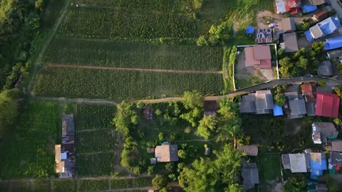 Aerial top down view of rural river landscape and vegetable garden Stock-Footage 335129568