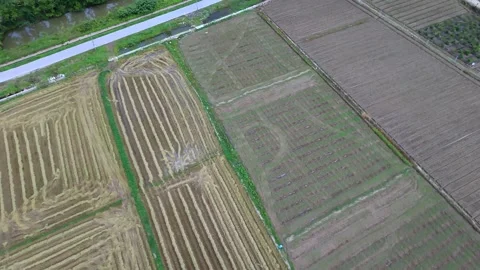 Aerial top down view of rural agricultural fields and infrastructure Stock-Footage 335129584