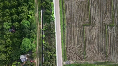 Aerial top down view of rural road through agricultural fields Stock Footage 335185845