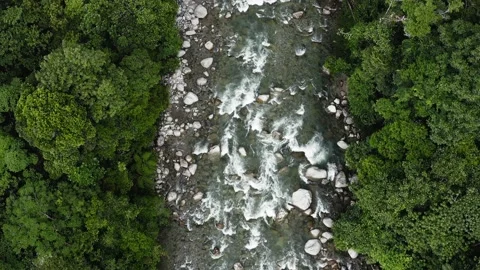 Aerial top down view of a rushing tropical river with a fast current Stock Footage 146352483