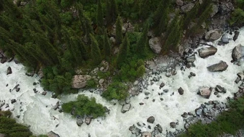 Aerial Top Down View of Rushing Whitewater River and Pine Forest Video stock 332010319