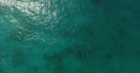 Aerial - Top down view of a sail boat anchored in transparent blue water Stock Footage 91978033