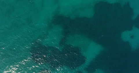 Aerial - Top down view of a sail boat anchored in transparent blue water Stock Footage 91978099