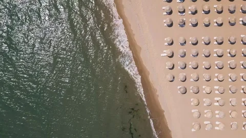 Aerial top-down view of a sandy beach with straw parasols and sunbeds aligned in Stock Footage 310179009