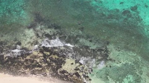 Aerial Top Down View of Sandy Beach Transitioning into Turquoise Ocean, Vídeos de archivo 323672591