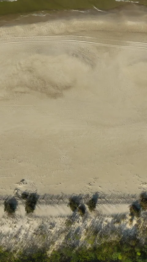 Aerial Top Down View Of Sandy Beach And Green Forest In Kuznica Stock Footage 342250364