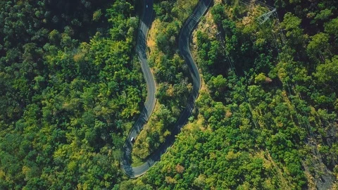 Aerial Top Down View of Scenic Windy Countryside Road Through Forest Landscape Stock Footage 104622498