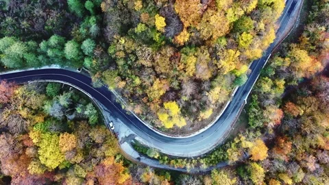 Aerial Top Down View. Scenic aerial bird's eye top down view of cars driving on Vidéo 144243097