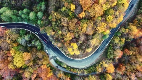 Aerial Top Down View. Scenic aerial bird's eye top down view of cars driving on Vidéo 144243169