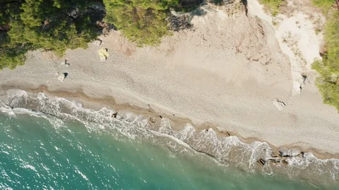 Aerial top down view of sea water, sandy beach and pine forest Stock Footage 123205396