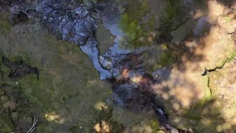 Aerial top-down view of shallow water over rocky textures with patches of g.. Stock Footage 315007347
