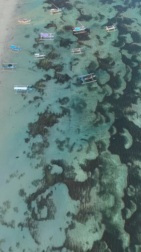 Aerial Top-Down View of a Shallow Coral Reef and Turquoise Sea, East Bali Video stock 337309412
