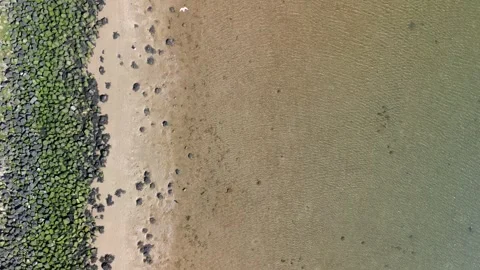 Aerial top-down view of a shoreline where green moss-covered rocks meet Stock-Footage 310910352
