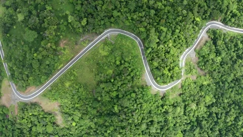 Aerial top down view, showing a road winding through a hilly forest landscape Stock Footage 165845552
