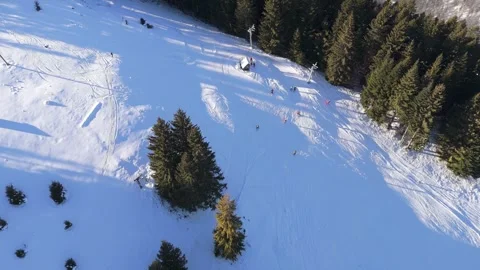 Aerial top down view of skiers on a sunny winter slope surrounded by pine forest Stock Footage 336384273