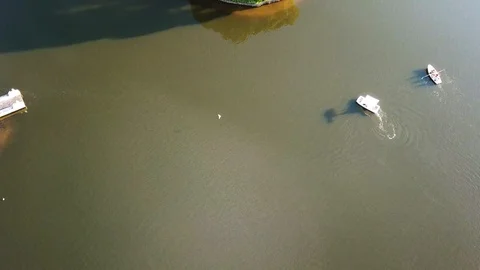 Aerial top down view of a small island in the center of the pond. Footage. Birds Video stock 128634721