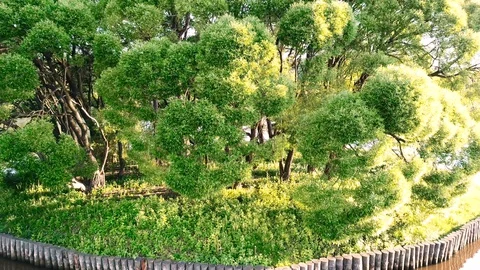 Aerial top down view of a small island in the center of the pond. Footage. Birds Stockbeeldmateriaal 129087331