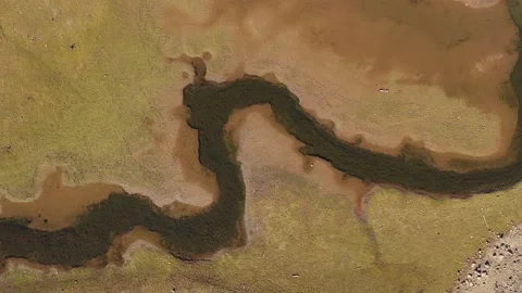 Aerial top down view of small river flowing through dry land on a hot summer Vidéo 200995437