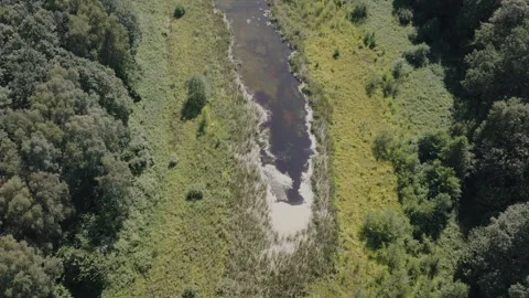 Aerial Top Down View of Small Swampy Pond in Green Meadow Clearing Stock Footage 324962089