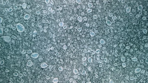 Aerial top-down view of small pancake ice floes floating on the surface of .. Video stock 327772790