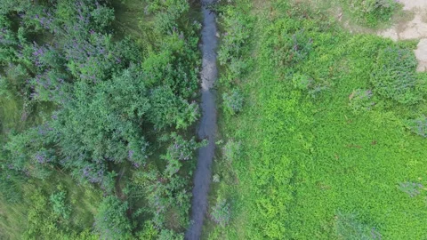 Aerial Top Down View Small Stream Creek Remaining From Dried Lake Bed Bijambare  Stock Footage 343151756
