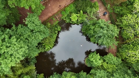 Aerial Top-Down View of a Small Wooded Pond in a Coimbra Park Vídeos de archivo 345840371