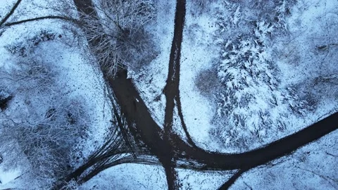 Aerial Top Down View Of Snow Covered park trees and walking paths in the snow Vídeo Stock 145359695