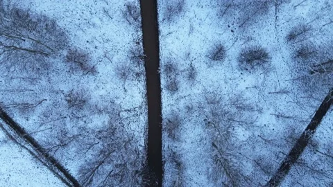 Aerial Top Down View Of Snow Covered park trees and walking paths in the snow Vídeo Stock 145359777
