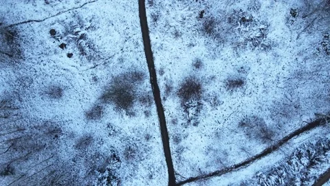 Aerial Top Down View Of Snow Covered park trees and walking paths in the snow Stock Footage 145359838