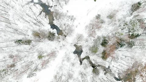 Aerial top-down view of snow covered forest and a stream winding among trees. Stock-Footage 251829363