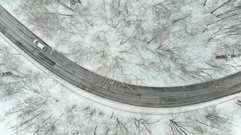 Aerial top-down view of snow covered pine forest and a road winding among trees Stockbeeldmateriaal 251889578
