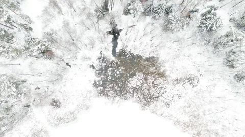 Aerial top-down view of snow covered pine forest around lake 스톡 동영상 252157142