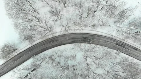 Aerial top-down view of snow covered pine forest and a road winding among trees Stock Footage 252235919