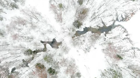Aerial top-down view of snow covered forest and a stream winding among trees. 스톡 동영상 252984016