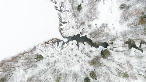 Aerial top-down view of snow covered forest and a stream winding among trees. 스톡 동영상 255811065