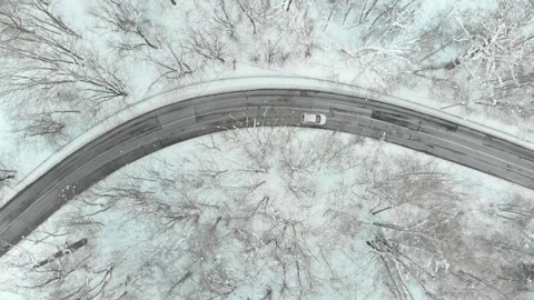 Aerial top-down view of snow covered pine forest and a road winding among trees 库存影片 289338436