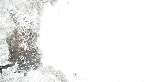 Aerial top-down view of snow covered forest and a stream winding among trees. 스톡 동영상 289564144