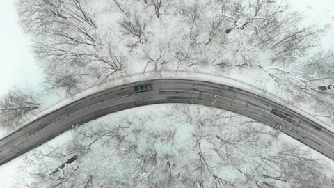 Aerial top-down view of snow covered pine forest and a road winding among trees Stockbeeldmateriaal 291661819
