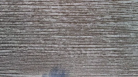 Aerial top-down view of a snow-covered plowed field with parallel lines forming Stock-Footage 299881766