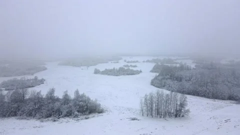 Aerial top down view of the snowy winter field. Drone is moving forward Stock Footage 197362797