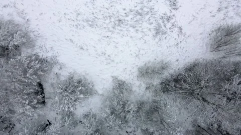 Aerial top down view of the snowy winter field. Drone is moving forward Stock Footage 197362870