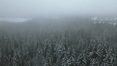 Aerial top down view of the snowy winter field. Drone is moving forward Stock Footage 197363022