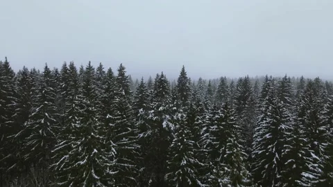 Aerial top down view of the snowy winter field. Drone is moving forward Stock Footage 197363033