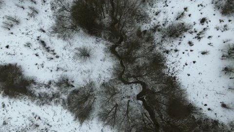 Aerial top down view of the snowy winter forest river. Drone is moving forward Stock Footage 197363045