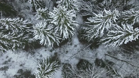 Aerial top down view of the snowy winter field. Drone is moving forward Stock Footage 197363056