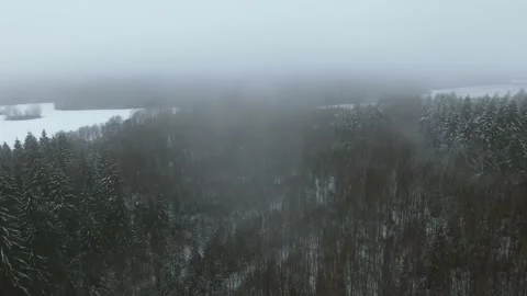 Aerial top down view of the snowy winter field. Drone is moving forward Stock Footage 197363076